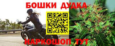 гашик Нарткала