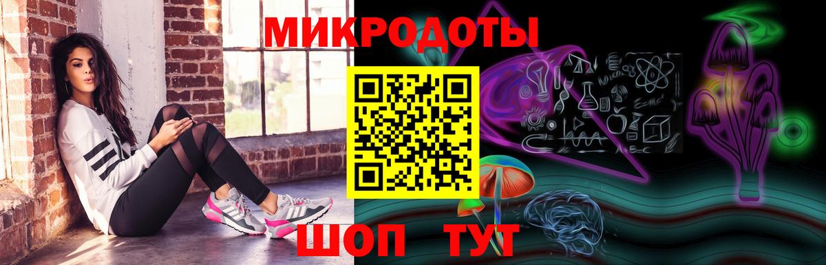 Псилоцибиновые грибы Psilocybine cubensis Вышний Волочёк